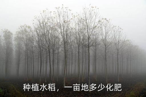水稻用復(fù)合肥一畝多少,一畝田水稻用多少肥料