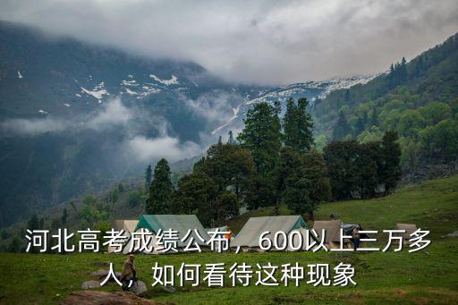 2019年河北省高考600分以上有多少人,600以上三萬多人