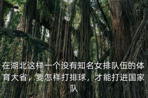 在湖北這樣一個沒有知名女排隊伍的體育大省，要怎樣打排球，才能打進國家隊