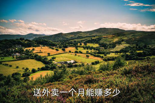 張家口外賣(mài)1個(gè)月能掙多少,在張家口送外賣(mài)的能掙多少錢(qián)