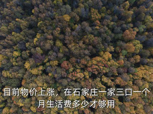 石家莊一個月多少錢夠生活,石家莊月收入多少才能夠生活