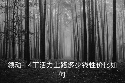 領動1.4丅活力上路多少錢性價比如何