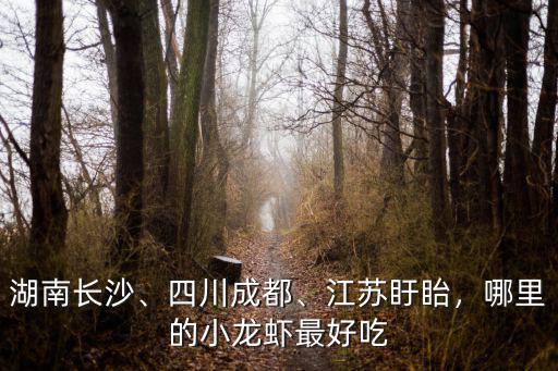 湖南長沙、四川成都、江蘇盱眙，哪里的小龍蝦最好吃