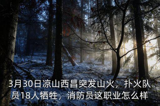 涼山犧牲消防員哪里人,西昌怎么犧牲那么多消防員