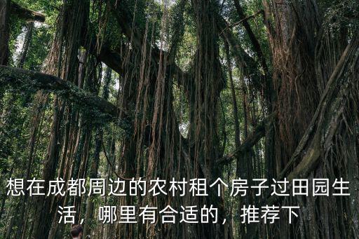 成都哪里有花還有很大的秋千,哪里有合適的