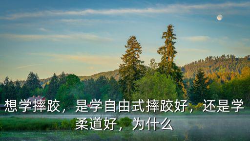 成都哪里可以學摔跤,是學自由式摔跤好