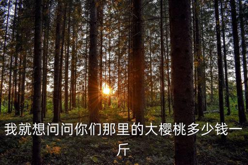 邯鄲櫻桃多少錢一斤,現在大櫻桃賣多少錢一斤了
