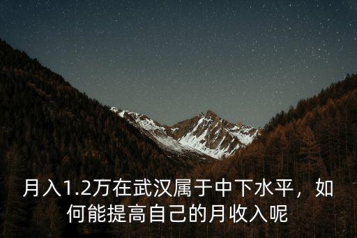 月入1.2萬在武漢屬于中下水平，如何能提高自己的月收入呢