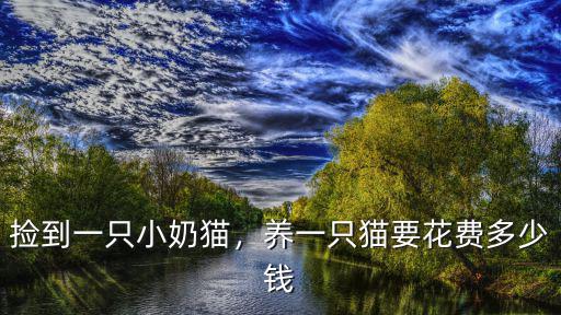 安徽滁州狗市貓咪多少錢一只,銀漸層貓多少錢一只