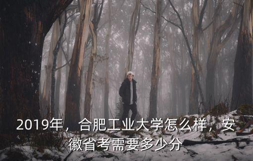合肥哈工大要多少分,安徽省考需要多少分