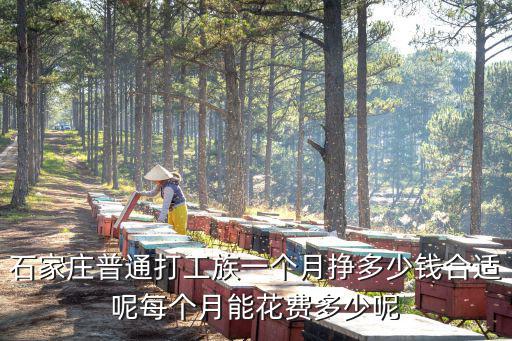 石家莊普通打工族一個(gè)月掙多少錢合適呢每個(gè)月能花費(fèi)多少呢