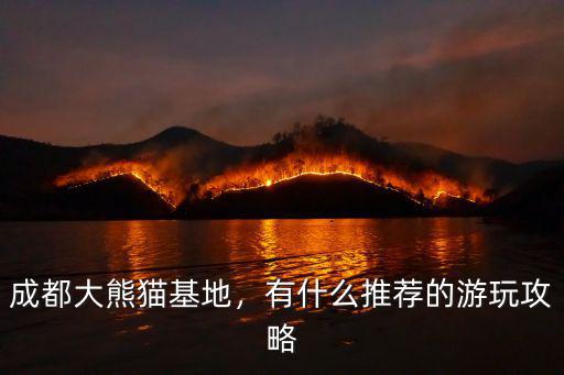 成都大熊貓基地，有什么推薦的游玩攻略
