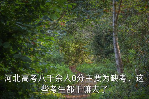 河北高考八千余人0分主要為缺考，這些考生都干嘛去了