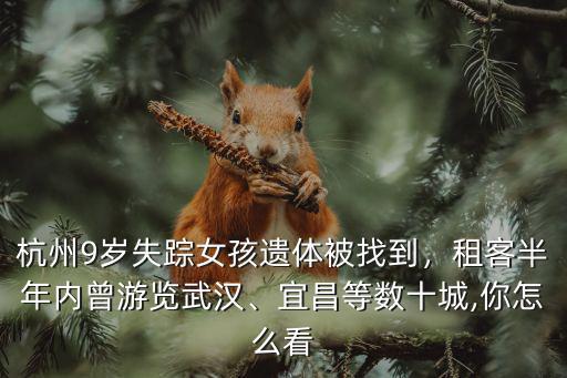 獨自滯留武漢的9歲女孩怎么回事,滯留武漢的游客怎么辦