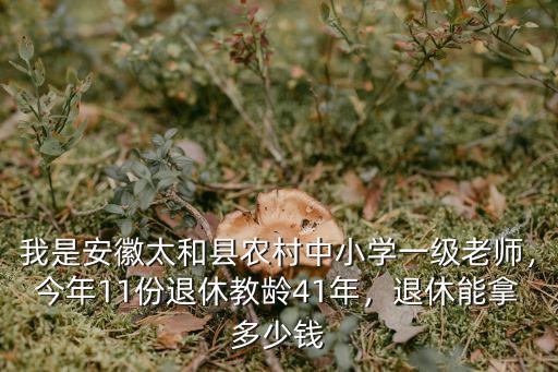安徽中學教師7級工資是多少,副高級教師7級工資每月多少