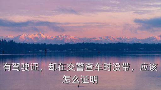 有駕駛證，卻在交警查車時沒帶，應該怎么證明