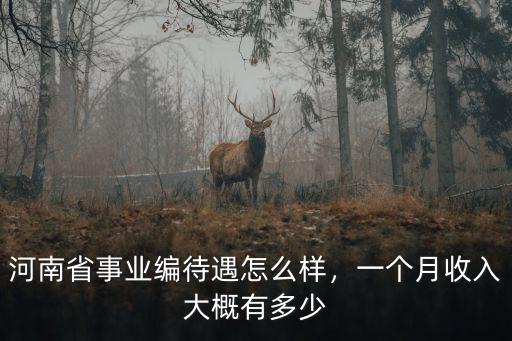 河南省事業編待遇怎么樣，一個月收入大概有多少