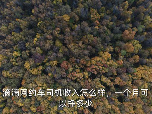 合肥滴滴兼職一個月多少錢一個月多少錢,一個月可以掙多少