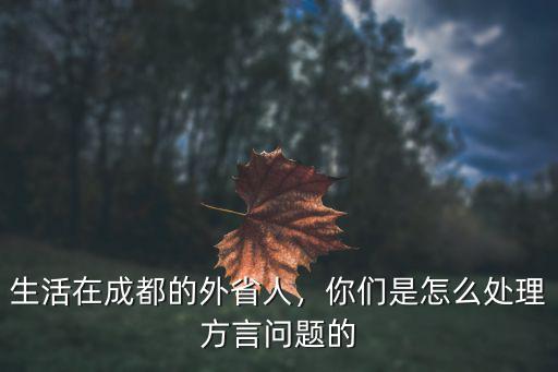 成都外省人哪里,生活在成都的外省人