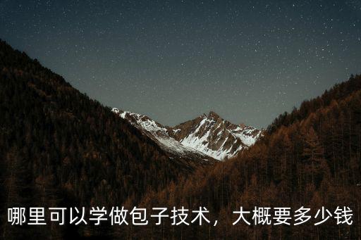 商丘哪里可以學(xué)包包子,哪里可以學(xué)做包子技術(shù)