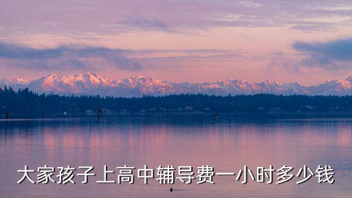 大家孩子上高中輔導費一小時多少錢