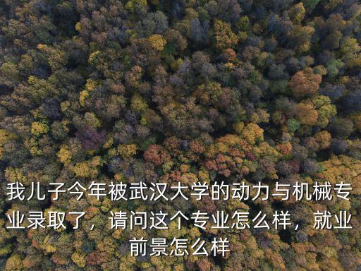 武漢大學動力與機械怎么樣,武漢大學機械專業怎么樣