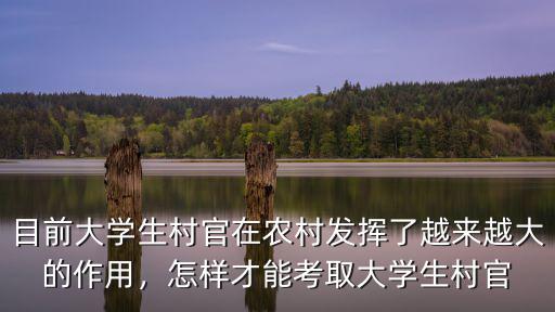 目前大學生村官在農村發揮了越來越大的作用，怎樣才能考取大學生村官