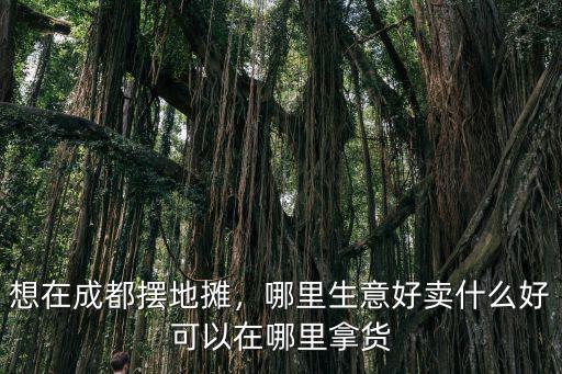 成都哪里地攤排擋多,請問成都哪里可以擺地攤
