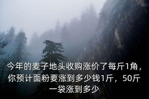 安陽面多少錢一斤,你預計面粉要漲到多少錢1斤