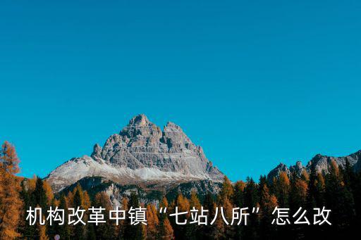 機構改革中鎮“七站八所”怎么改