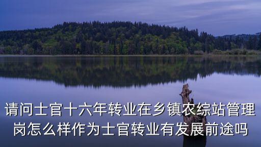 請(qǐng)問士官十六年轉(zhuǎn)業(yè)在鄉(xiāng)鎮(zhèn)農(nóng)綜站管理崗怎么樣作為士官轉(zhuǎn)業(yè)有發(fā)展前途嗎