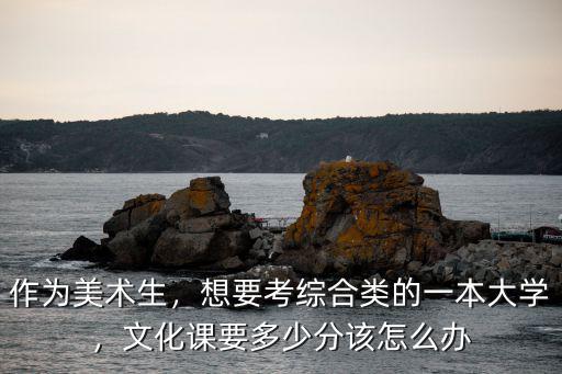 河北美術生文化課多少分能上一本,河北美術聯(lián)考249分