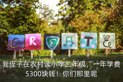 安慶小學二年級學費多少錢,現在上小學一年級要交多少錢