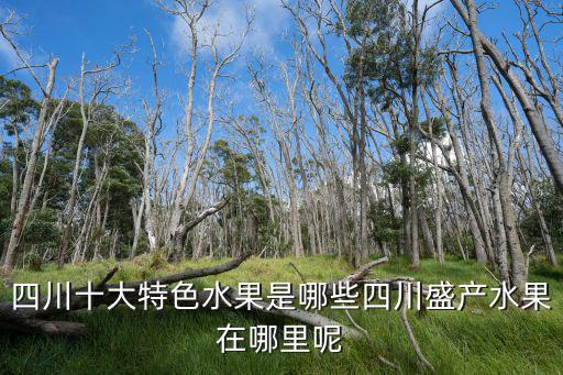 雅安哪里賣水果最好,雅安這邊賣水果利潤如何