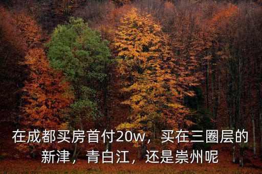 成都三圈層在哪里買,買在三圈層的新津