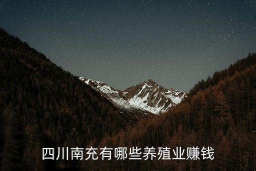 南充哪里有賺錢的路子,有什么掙錢的路子