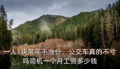 石家莊公交車司掙多少錢,公交車司機(jī)收入多少