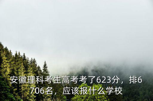 安徽高考理科505分排名多少,安徽文科生多少分能上985