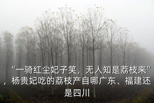 楊貴妃吃的荔枝是四川哪里的,楊貴妃吃的荔枝產(chǎn)自哪