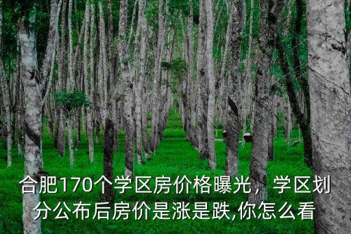 合肥市學區公寓房價多少錢,學區劃分公布后房價是漲是跌