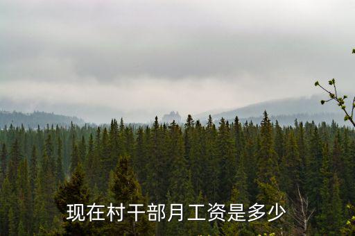 保定博野村干部工資是多少,現(xiàn)在村干部月工資是多少