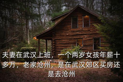 現在滄州郊區房子多少錢,滄州樓房多少錢了