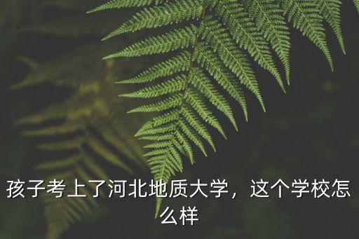 河北省地質(zhì)大學(xué)最低多少分能考上,孩子考上了河北地質(zhì)大學(xué)