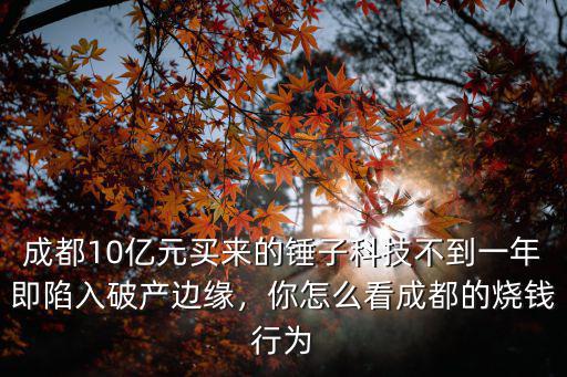 成都錘子科技 在哪里,錘子科技遷到成都
