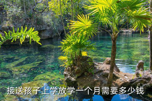 蕪湖接送小孩上學(xué)多少錢,也沒有多少錢