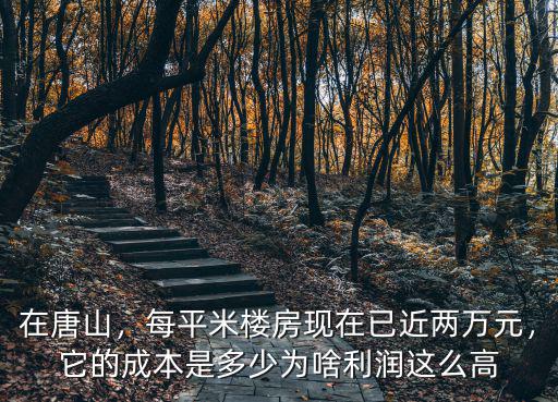 唐山最貴的樓多少錢一平米,唐山的房價現在多少錢一平米