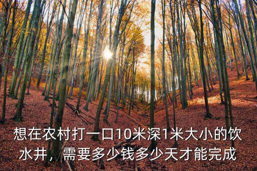 想在農村打一口10米深1米大小的飲水井，需要多少錢多少天才能完成
