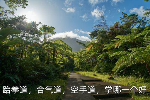 跆拳道，合氣道，空手道，學哪一個好