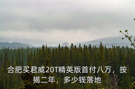 合肥買君威20T精英版首付八萬，按揭二年，多少錢落地