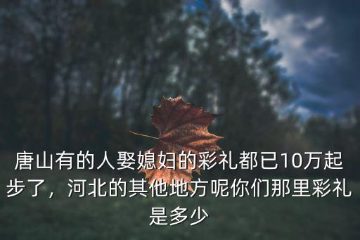 河北博野彩禮多少錢,河北滄州的彩禮要多少錢